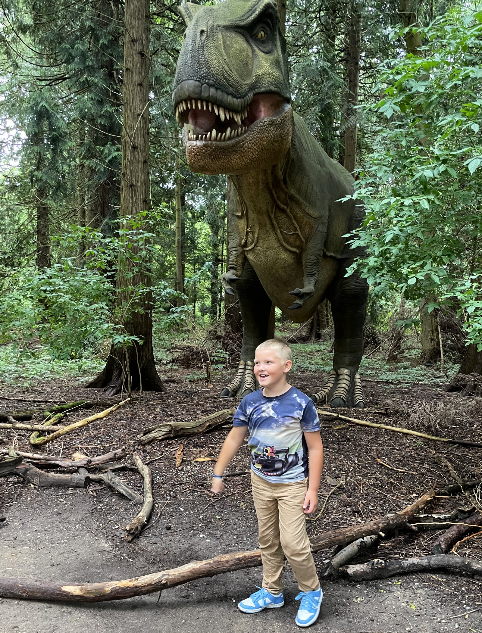 Noah og T-Rex